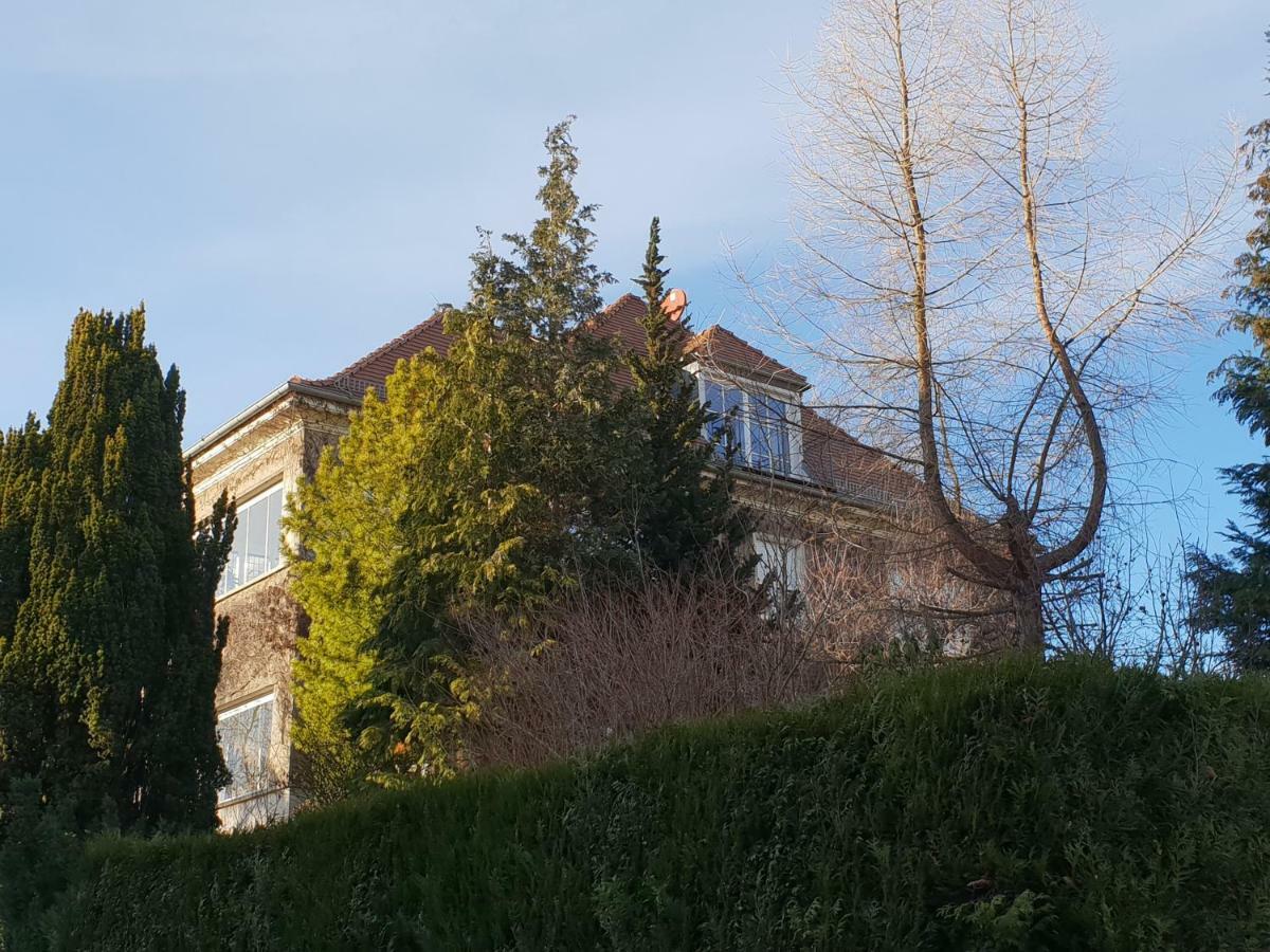 Ferienwohnung Mit Flair Dresden Exterior foto
